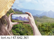 a female traveler photographing nature on her phone - mountains and rainforests in Thailand. Hands and phone close-up rear view. The concept is a passion for travel. Стоковое фото, фотограф Владимир Разгуляев / Фотобанк Лори
