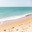 Sunny beach with a turquoise ocean in the background. Sea waves near the tropical coast on a sunny day. Cruise. Landscape of a summer sea beach with white sand and shells. Travel concept. Стоковое фото, фотограф Ирина Михайличенко / Фотобанк Лори
