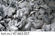 Древесный уголь для мангала покрытый слоем белого пепла - Charcoal for a barbecue covered with a layer of white ash. Стоковое фото, фотограф Владислав Дельдюгинов / Фотобанк Лори