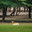 Sir Bani Yas island, United Arab Emirates - Jan 18 2024, panoramic view of a gazelle resting among the trees in a clearing, in the daytime, without people, in a safari park in Sir Bani Yas island, UAE. Стоковое фото, фотограф Сергей Богомяко / Фотобанк Лори