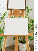 Blank canvases on easels set in a bright studio with indoor plants for creative artwork sessions. Стоковое фото, фотограф Сергей Толмачёв / Фотобанк Лори
