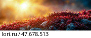 Passion of Christ: Crown of Thorns on Stone and Berry Bed Against Sunrise, Symbolic Easter Background. Стоковое AI-изображение, AI-художник Данила Большаков / Фотобанк Лори