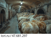 The interior of an old stone warehouse with massive vaulted ceilings, where tanned furs are stored. Rows of thick, fluffy pelts, ranging from light beige to tawny, are neatly arranged in wooden crates. The atmosphere is cold and stark, lit by dim fluorescent lights. The image is ideal for themes of tannery, fur trade, crafts, and the history of trades. Стоковое AI-изображение, AI-художник Анна Кривицкая / Фотобанк Лори
