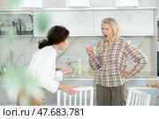 Angry old and middle-aged women quarreling aggressively to each other in the kitchen. Стоковое фото, фотограф Яков Филимонов / Фотобанк Лори