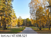 Город Заводоуковск. Парк в санатории "Ингала" (2015 год). Редакционное фото, фотограф Александр Тараканов / Фотобанк Лори