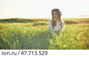 A young Ukrainian girl poses in a young wheat field. Стоковое видео, видеограф Mikhail Davidovich / Фотобанк Лори