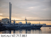Russian navy warships mooring near zolotoy rog bridge during golden sunset, highlighting naval presence in vladivostok harbor. Стоковое фото, фотограф Mikhail Davidovich / Фотобанк Лори