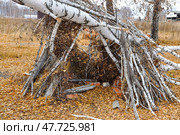 Шалаш в лесу, построенный детьми. Сибирь. Тюменская область. Стоковое фото, фотограф Александр Тараканов / Фотобанк Лори