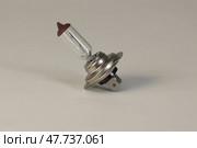 Лампа H7 12V 55W. Стоковое фото, фотограф Илья Юрукин / Фотобанк Лори