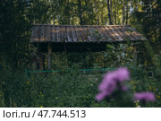 Комаровский старообрядческий скит. Могила матушки Манефы Старой. Нижегородская область, Семеновский район. Стоковое фото, фотограф Юлия Киселёва / Фотобанк Лори