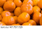 Juicy farm mandarins at market counter. Стоковое фото, фотограф Татьяна Яцевич / Фотобанк Лори