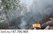 A pile of trash is on the ground in a forest. Explosion of a very powerful firecracker. Стоковое видео, видеограф Надежда Кап / Фотобанк Лори