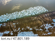 Весенний пейзаж на Оби с тающим льдом. Новосибирское Обское водохранилище. Новосибирская область, Западная Сибирь. Стоковое фото, фотограф Евгений Мухортов / Фотобанк Лори
