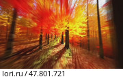 Vibrant autumn forest with dynamic blur: red and yellow foliage in motion. Стоковое AI-видео, аниматор Sabyna75 / Фотобанк Лори