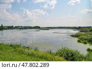 Река Юрга летним днем. Село Юргинское. Тюменская область (2016 год). Стоковое фото, фотограф Александр Тараканов / Фотобанк Лори
