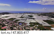 Aerial perspective revealing verdant greenhouse cultivation sprawling across fertile turkish terrain, framing azure skies and distant coastal horizons with geometric agricultural precision. Стоковое видео, видеограф ILIA GOROKHOV / Фотобанк Лори