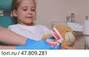 Female dentist teaches a little girl how to brush her teeth properly with jaw model and toothbrush. The concept of oral care. concept of dentistry. children's dentist. plasma structure of the jaw. Стоковое видео, видеограф Ирина Михайличенко / Фотобанк Лори