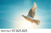 Белый голубь летит в голубом небе, раскрыв крылья. A white dove flies in the blue sky, wings open. Стоковое AI-изображение, AI-художник Смирнова Светлана / Фотобанк Лори