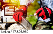 Master sharpens chainsaw chain. Стоковое фото, фотограф Igor Skripachev / Фотобанк Лори