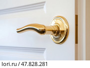 Golden luxury Doorknob. Metal door handle lock and latch of brass on veneer doors. Copper door handle. White wooden door. Modern trends of interior design. Close-up. Details. Opening or closing a door. Стоковое AI-изображение, AI-художник Марина Демидюк / Фотобанк Лори