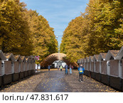 MOSCOW, RUSSIA - MAY 7, 2022 Sokolniki park, sunny autumn day wooden arch. Стоковое фото, фотограф Фотограф / Фотобанк Лори