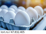 White Chicken Eggs on a conveyor belt. Hatching, poultry farming. Egg factory industry. Egg selection process and grading production line with fresh eggs. Automated business, organic farming concept. Стоковое AI-изображение, AI-художник Марина Демидюк / Фотобанк Лори