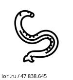 hookworm parasite line icon vector illustration. Стоковая иллюстрация, иллюстратор Vectorwin / Фотобанк Лори