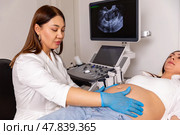 Close up shot of female doctor examining pregnant woman lying on bed in clinic. Palpation of womb belly, feeling baby fetus embryo bumps. Gynecologist checkup. Стоковое фото, фотограф Ирина Михайличенко / Фотобанк Лори