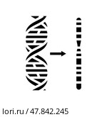 chromosome genetic engineering glyph icon vector illustration. Стоковая иллюстрация, иллюстратор Vectorwin / Фотобанк Лори