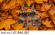 Sunglasses placed neatly on top of stylish purse. Sunglasses are black and the purse is tan, creating a chic and coordinated look. Стоковое AI-изображение, AI-художник Данила Большаков / Фотобанк Лори