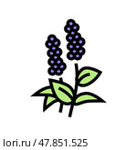 patchouli flowers aromatherapy color icon vector isolated illustration. Стоковая иллюстрация, иллюстратор Vectorwin / Фотобанк Лори