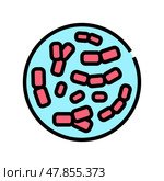 bifidobacterium probiotics color icon vector illustration. Стоковая иллюстрация, иллюстратор Vectorwin / Фотобанк Лори