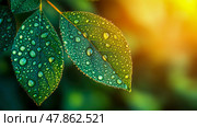 Fresh green leaves adorned with dewdrops shimmer in the gentle morning light, showcasing nature's beauty and tranquility in a tranquil setting. Стоковое AI-изображение, AI-художник Данила Большаков / Фотобанк Лори