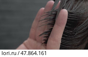 The barber cuts the hair between his fingers. He cuts the ends of the hair with scissors. Close up. Стоковое видео, видеограф Strunov David / Фотобанк Лори