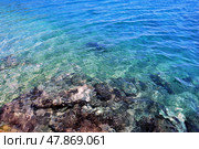 Pure Water. Стоковое фото, фотограф Александр Карпенко / Фотобанк Лори