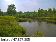 Сельский пейзаж. Заросшие берега реки Бегилы. Стоковое фото, фотограф Александр Тараканов / Фотобанк Лори