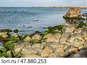 Ruins of Western Fort on Baltic Sea coast of Vistula Spit. Baltiysk. Russia. Стоковое фото, фотограф Elena Odareeva / Фотобанк Лори