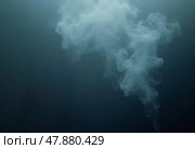 Delicate tendrils of smoke rise and twist in fluid motions, creating captivating forms against a muted backdrop. This visual speaks to the beauty of ephemeral moments. Generative AI. Стоковое AI-изображение, AI-художник Юлия Петровская / Фотобанк Лори