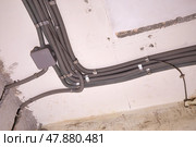 The electrical wires in the protective corrugated cable tube and the junction box are neatly laid on the ceiling. Стоковое фото, фотограф Виктория Тельминова / Фотобанк Лори