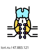 parathyroid gland endocrinology color icon vector illustration. Стоковая иллюстрация, иллюстратор Vectorwin / Фотобанк Лори