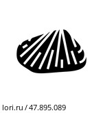 donax clam glyph icon vector illustration. Стоковая иллюстрация, иллюстратор Vectorwin / Фотобанк Лори