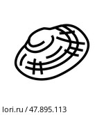 manila clam line icon vector illustration. Стоковая иллюстрация, иллюстратор Vectorwin / Фотобанк Лори