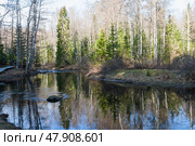 Река Рощинка (Линдуловка). Экотропа в природном заказнике "Линдуловская роща". (2024 год). Редакционное фото, фотограф Елена Арсентьева / Фотобанк Лори