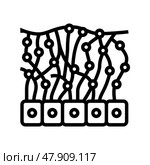 mesothelium health problem line icon vector illustration. Стоковая иллюстрация, иллюстратор Vectorwin / Фотобанк Лори