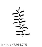 hydrophilia polyspermy glyph icon vector illustration. Стоковая иллюстрация, иллюстратор Vectorwin / Фотобанк Лори