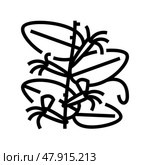 japanese honeysuckle line icon vector illustration. Стоковая иллюстрация, иллюстратор Vectorwin / Фотобанк Лори