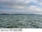 View of Port of the city of Baltiysk from Vistula Spit. Kaliningrad region. Russia (2021 год). Редакционное фото, фотограф Elena Odareeva / Фотобанк Лори