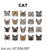 cat cute pet animal kitten funny icons set vector. Стоковая иллюстрация, иллюстратор Vectorwin / Фотобанк Лори