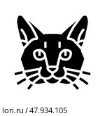 burmese cat cute pet glyph icon vector illustration. Стоковая иллюстрация, иллюстратор Vectorwin / Фотобанк Лори
