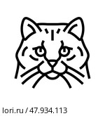 siberian cat cute pet line icon vector illustration. Стоковая иллюстрация, иллюстратор Vectorwin / Фотобанк Лори